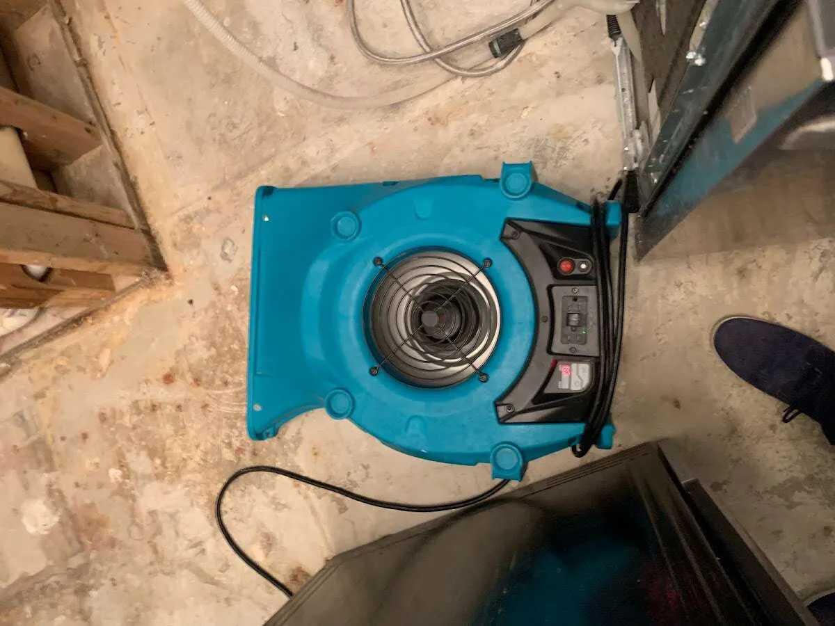 Air mover drying equipment for Mold Remediation & Removal in Roanoke Rapids